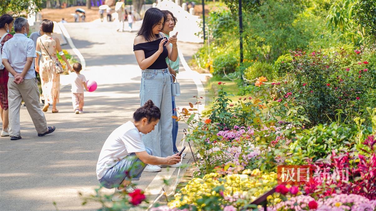 ope科技