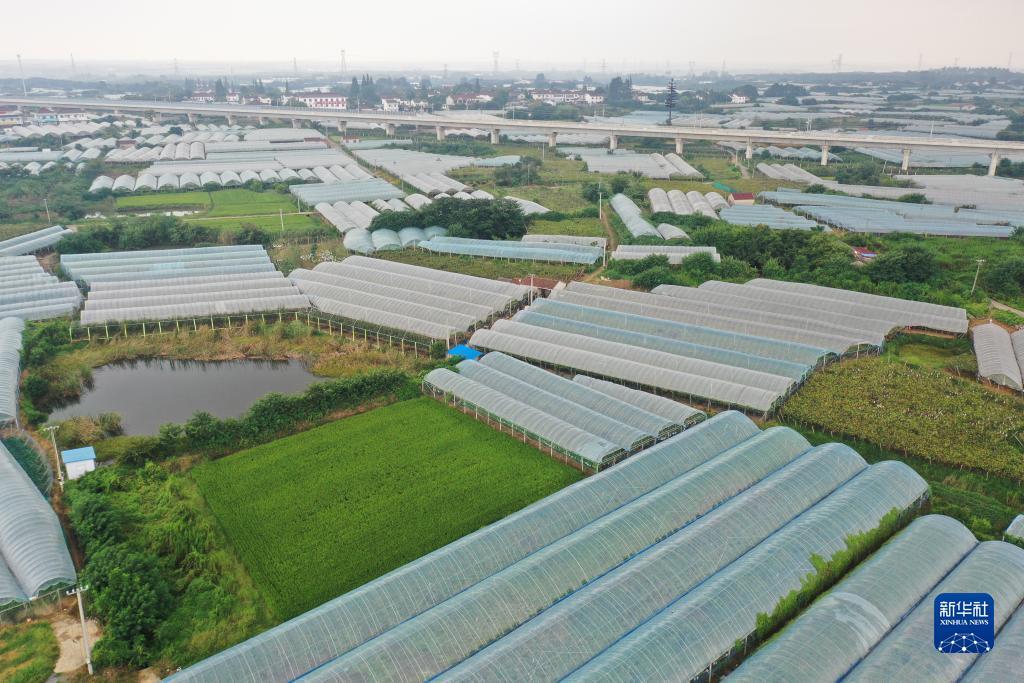 金沙娱手机乐登录口